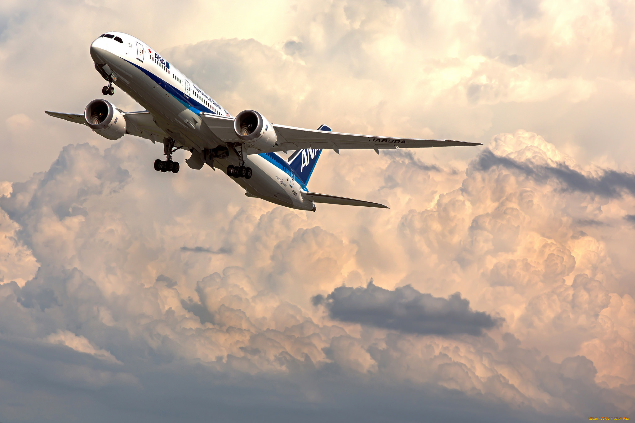boeing 787 dreamliner, ,  , 